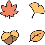 Autumn Set SVG Icon